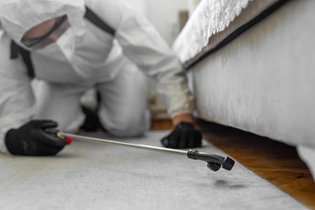 Professional Cockroach Control technician working in Ransom County County, ND